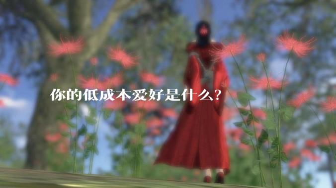 你的低成本爱好是什么？